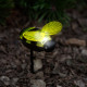 KIFUTÓ Leszúrható szolár lámpa - méhecske - 8 x 6,5 x 14 cm - Fehér LED
